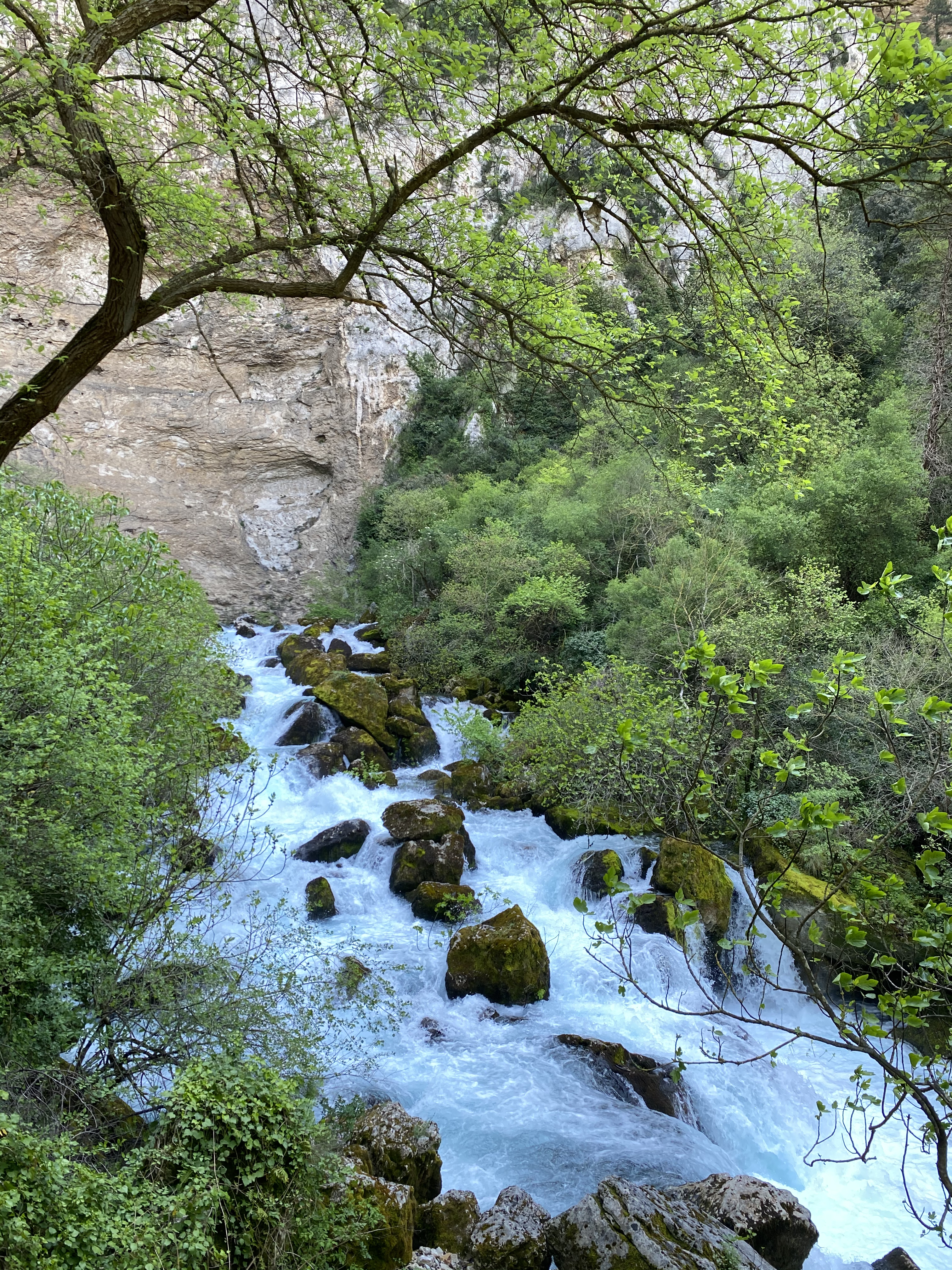 Chemin qui monte à la Fontaine de Vaucluse